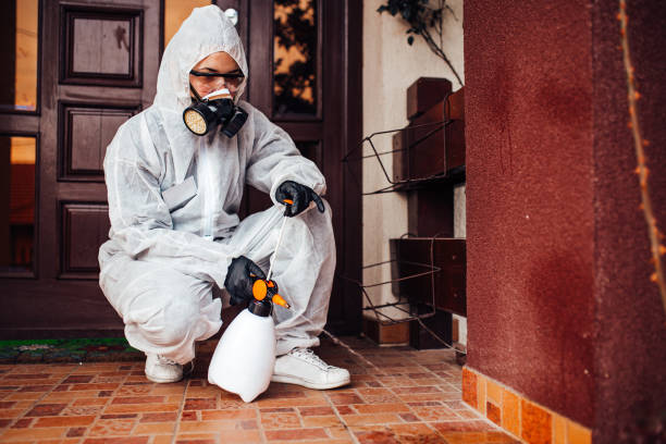 Attic and Crawl Space Rodent Treatment in Eureka